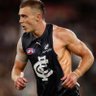 Curnow Quintatino's profile picture