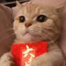เกี๊ยวต๋วย เว้นสุ้น โยตาเฟ็น's profile picture