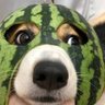 Profilbild von LyonCheung