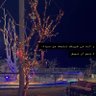 Maryam 的头像