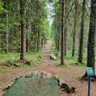 Фото профиля Rizec