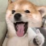Profilbild von 鄧噔蹬磴