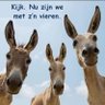 Profilbild von Hans