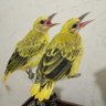 PAIJO JOWO's profile picture