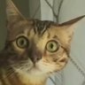 Profilbild von Gary