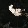 Фото профиля あっきー