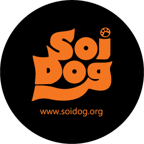 soidogthailand's profile picture