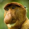 خاموشفکر(کیرتوجمهوری)'s profile picture