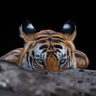 Aftab Ahmad's profile picture