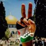 AlAQSA 的头像