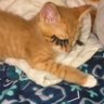 Marilynn's profile picture