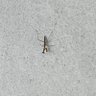 Profilbild von 梅馬