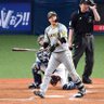 こーき🐯's profile picture