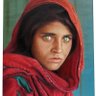 Ali-Cemal profil fotoğrafı