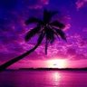 Poet_Myst 的头像
