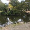 つう 的头像