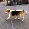 Yuki's profile picture