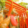 Фото профиля 孤月提督 甲×六