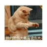 Profilbild von xiaotaiyang
