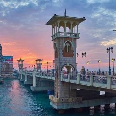 اسكندرية - Alexandria's profile picture