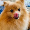 ぽん profil fotoğrafı