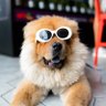 Tarek Mahler's profile picture