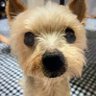 あば's profile picture