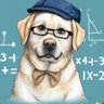 Statistichien 的头像