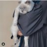 اسيل المبروك 的头像