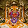 Фото профиля Praveen Reddy