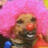 tu conciencia's profile picture
