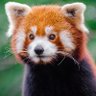 fscrivy's profile picture