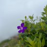 Eyangkadai 的头像