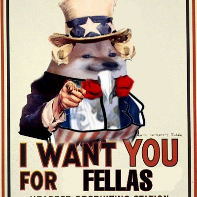 TomaszRolbiecki's profile picture