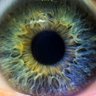 JohnnyUltimamente's profile picture