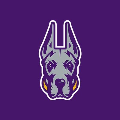 UAlbanySports's profile picture