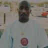Bush-in's profile picture