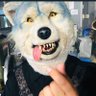 Profilbild von のっち🐺3/23Kアリーナ参戦🧡