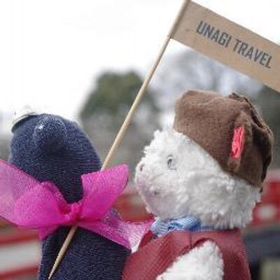 Unagi Travel's profile picture