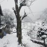 不浮夸 的头像
