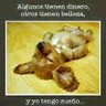 inelli percha profil fotoğrafı