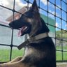 El Gran Paco 的头像