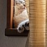 Profilbild von まみ