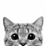 xafier's profile picture