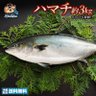 Фото профиля 【悲報】