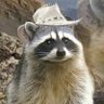 pH's profile picture