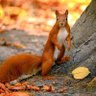 Gripper McKee profil fotoğrafı