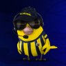 Glarung Yayın's profile picture