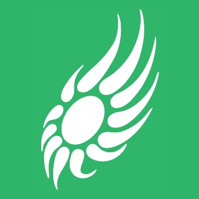 greenparty_ie's profile picture