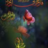 Фото профиля mohammed